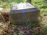image of grave number 758311